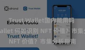 Trust Wallet国内能用吗 Trust Wallet 何如识别 NFT 价值？市集分析指南