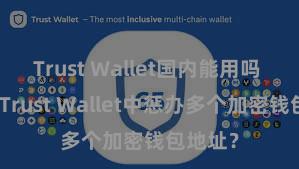 Trust Wallet国内能用吗 如安在Trust Wallet中惩办多个加密钱包地址？