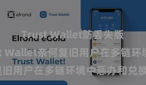 Trust Wallet防丢失版本下载 Trust Wallet奈何复旧用户在多链环境中惩办和兑换钞票？