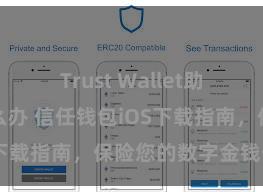 Trust Wallet助记词忘了怎么办 信任钱包iOS下载指南，保险您的数字金钱安全